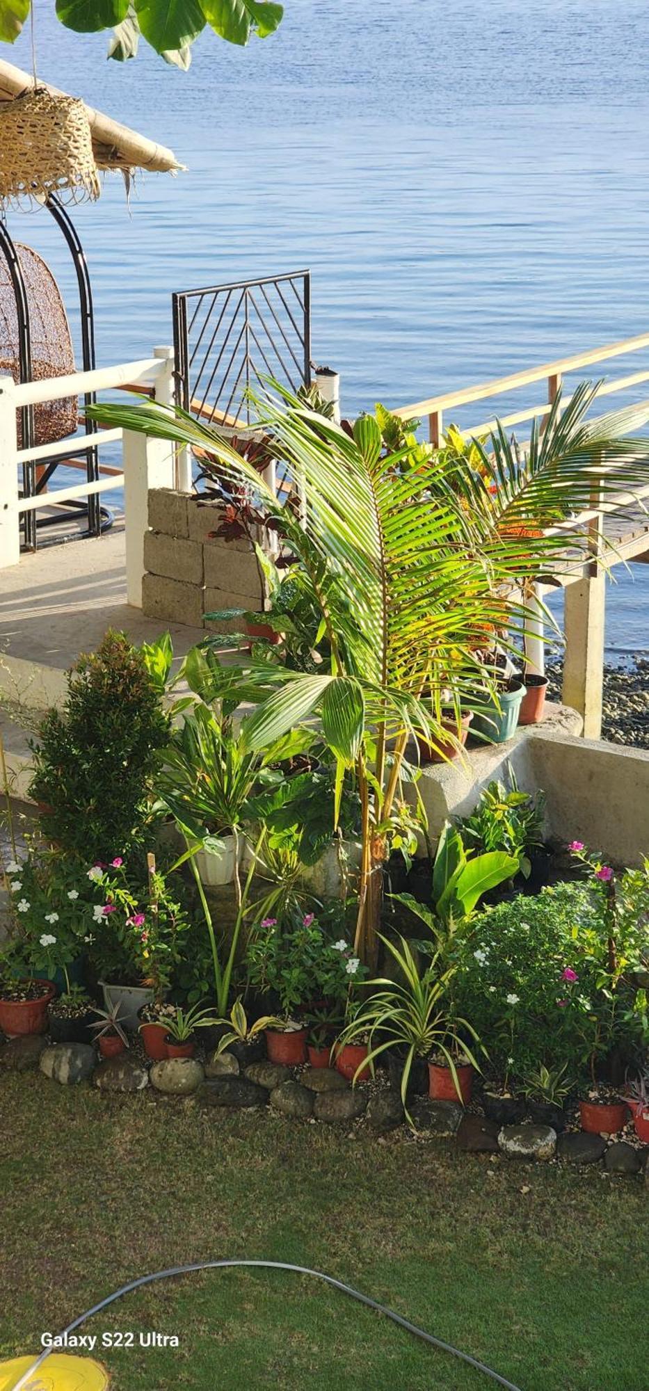 Chue&Larry'S Beachside Homestay Libagon المظهر الخارجي الصورة